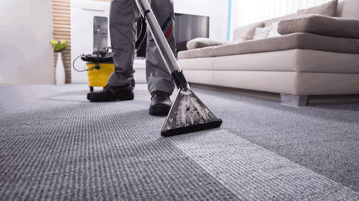 Upholstery Cleaning